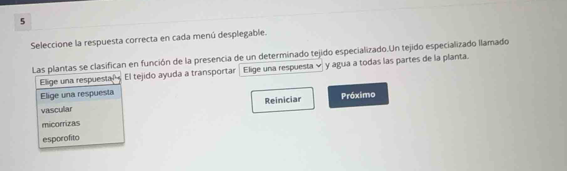 seleccione la respuesta correcta en cada menú desplegable. las plantas …
