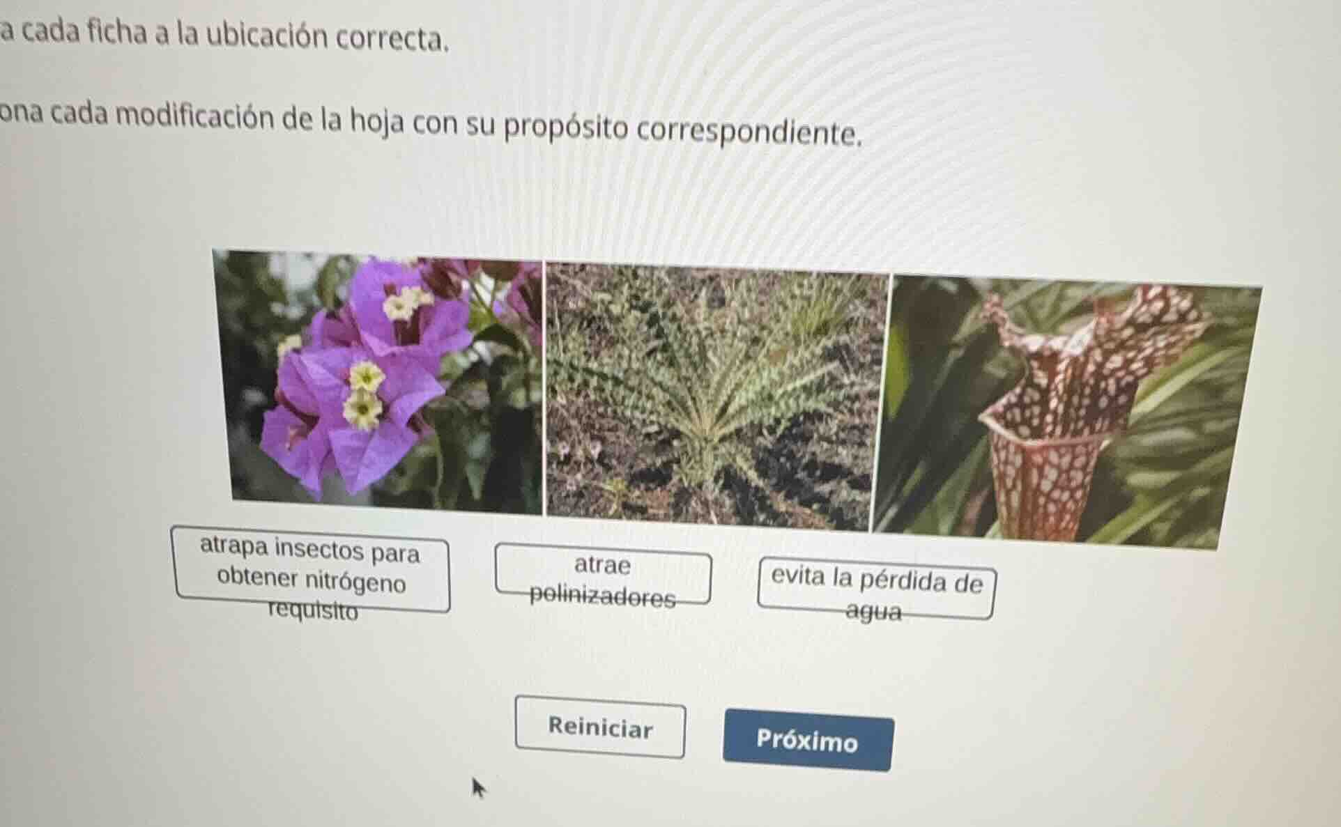 a cada ficha a la ubicación correcta. ona cada modificación de la hoja …