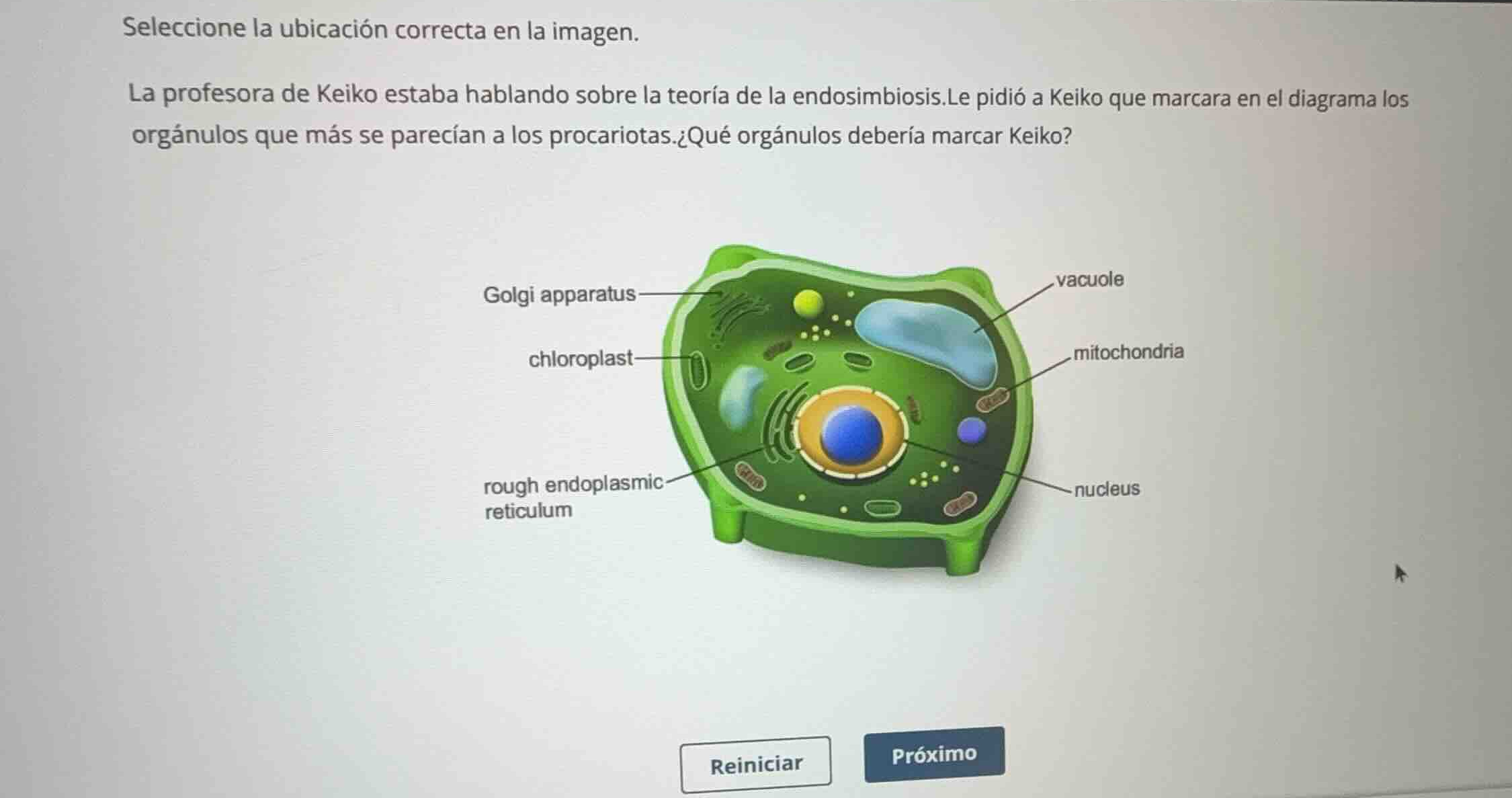 seleccione la ubicación correcta en la imagen. la profesora de keiko es…
