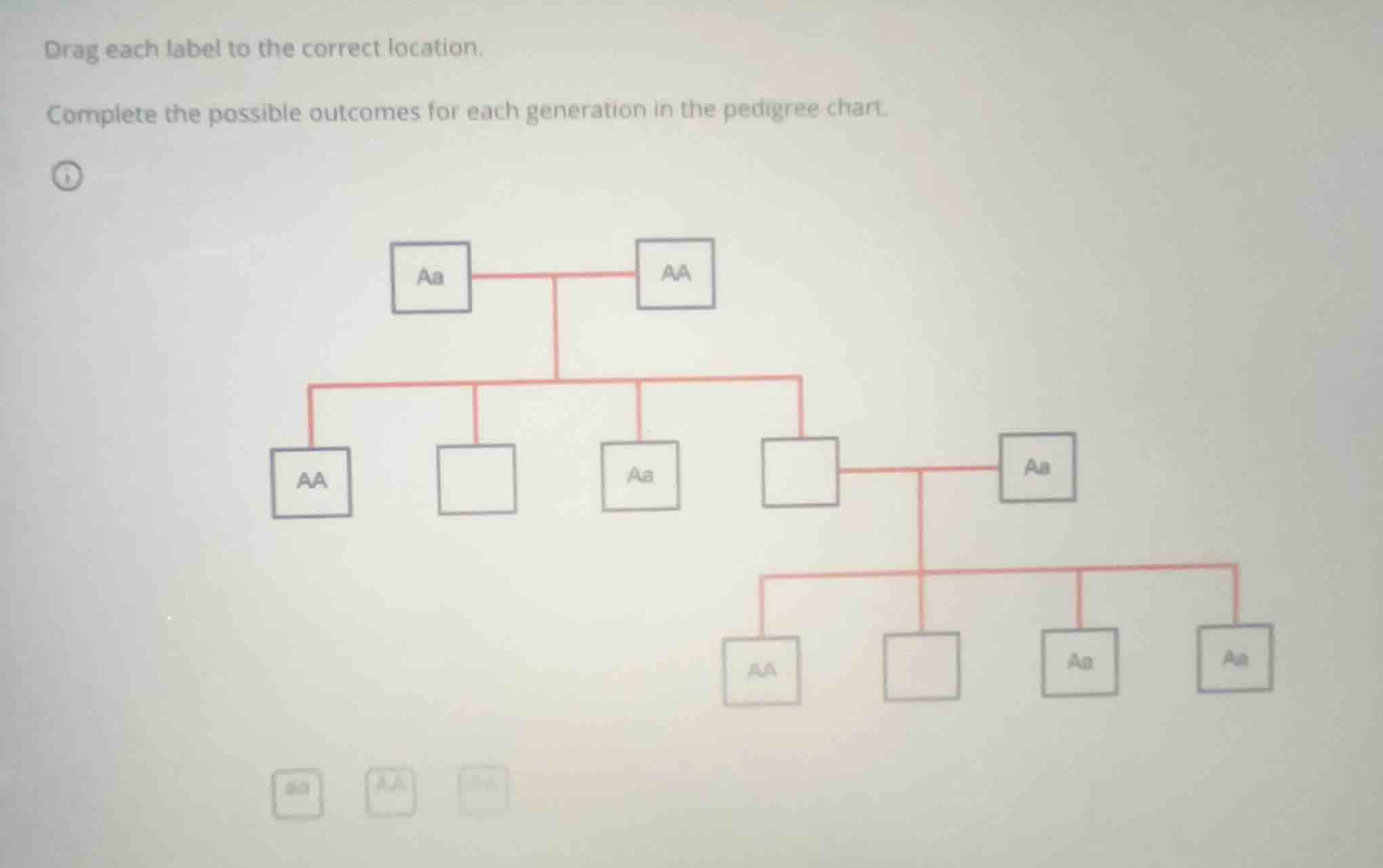 drag each label to the correct location. complete the possible outcomes…