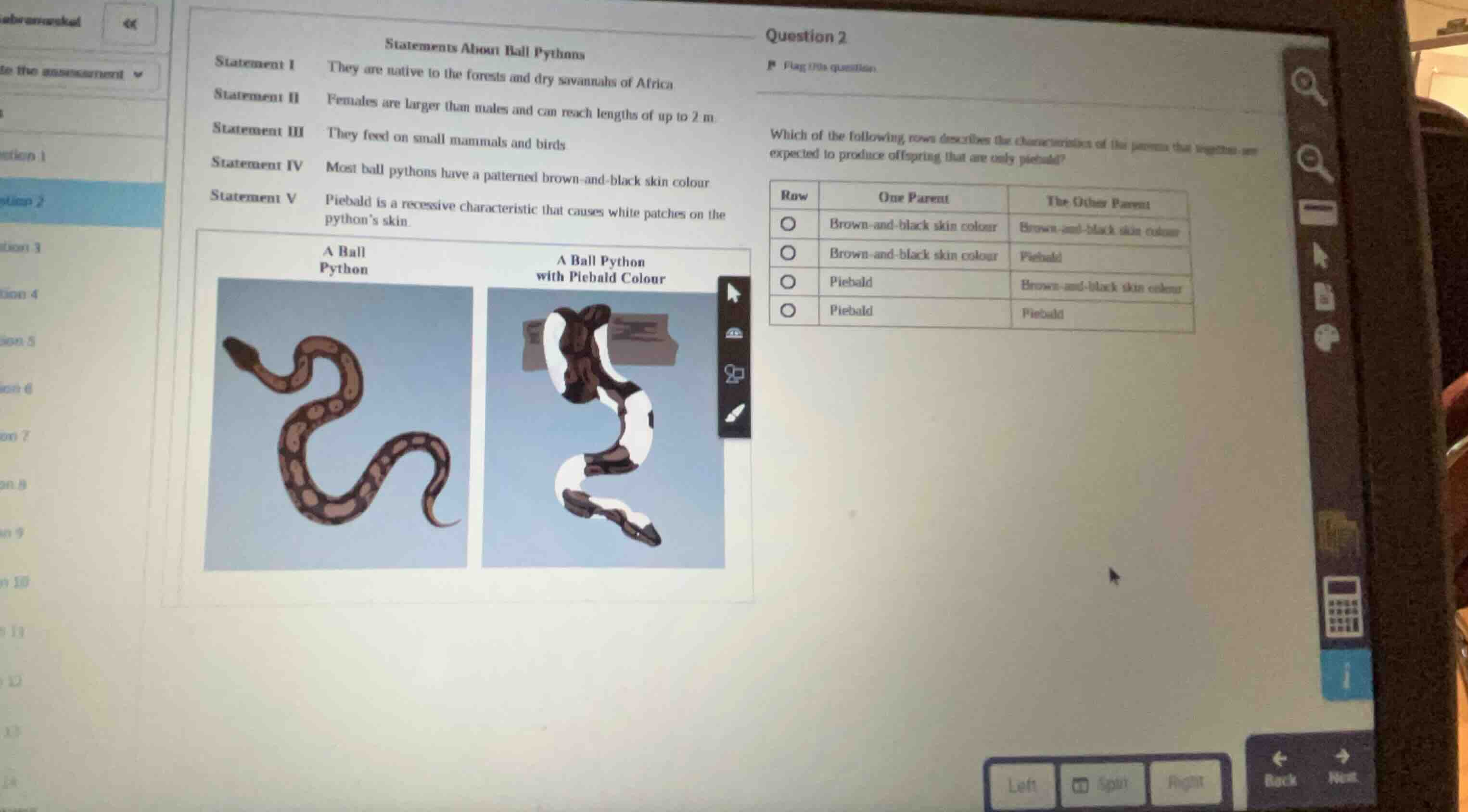 statements about ball pythons statement i: they are native to the fores…
