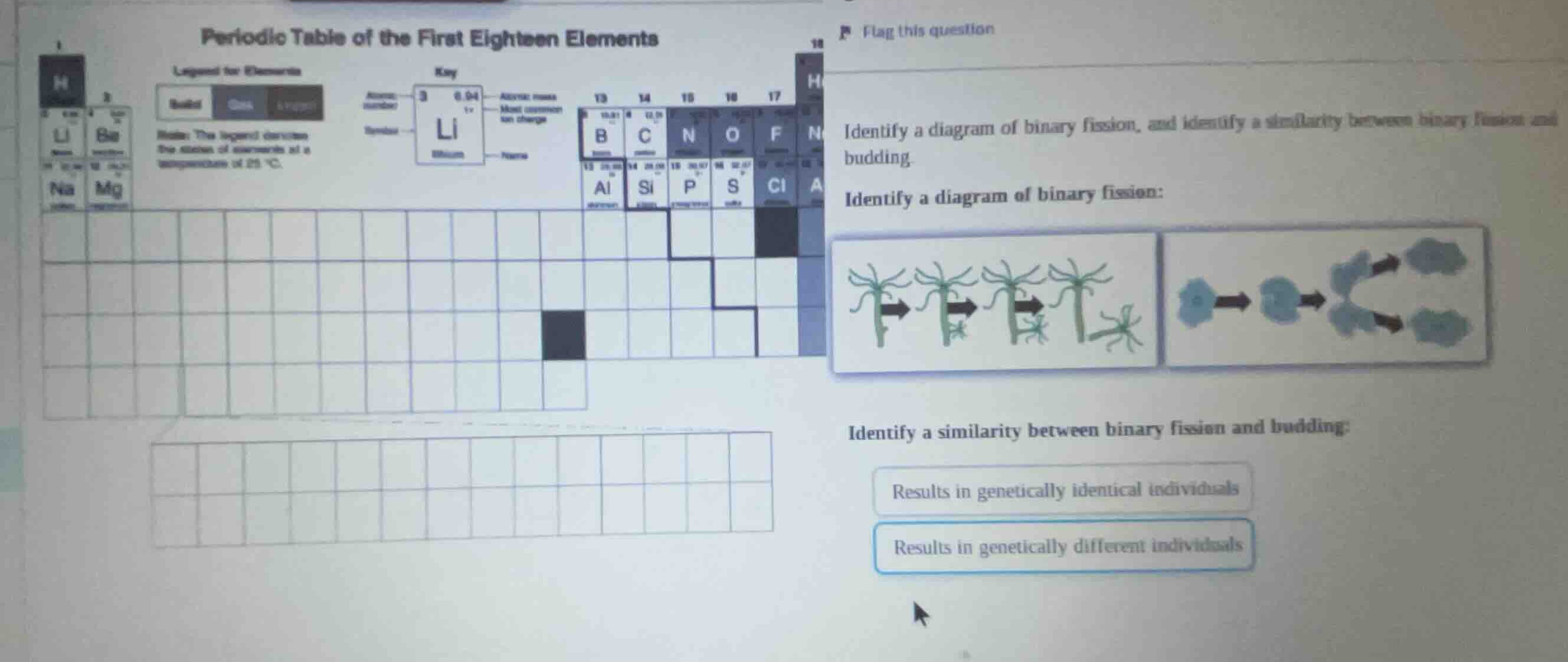 identify a diagram of binary fission, and identify a similarity between…