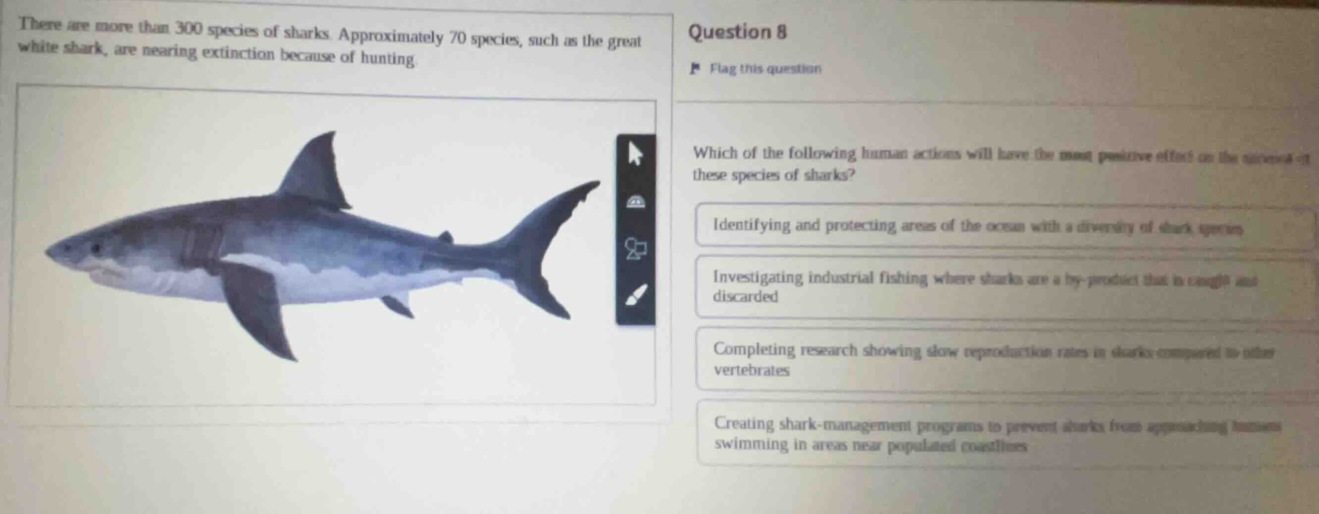 there are more than 300 species of sharks. approximately 70 species, su…