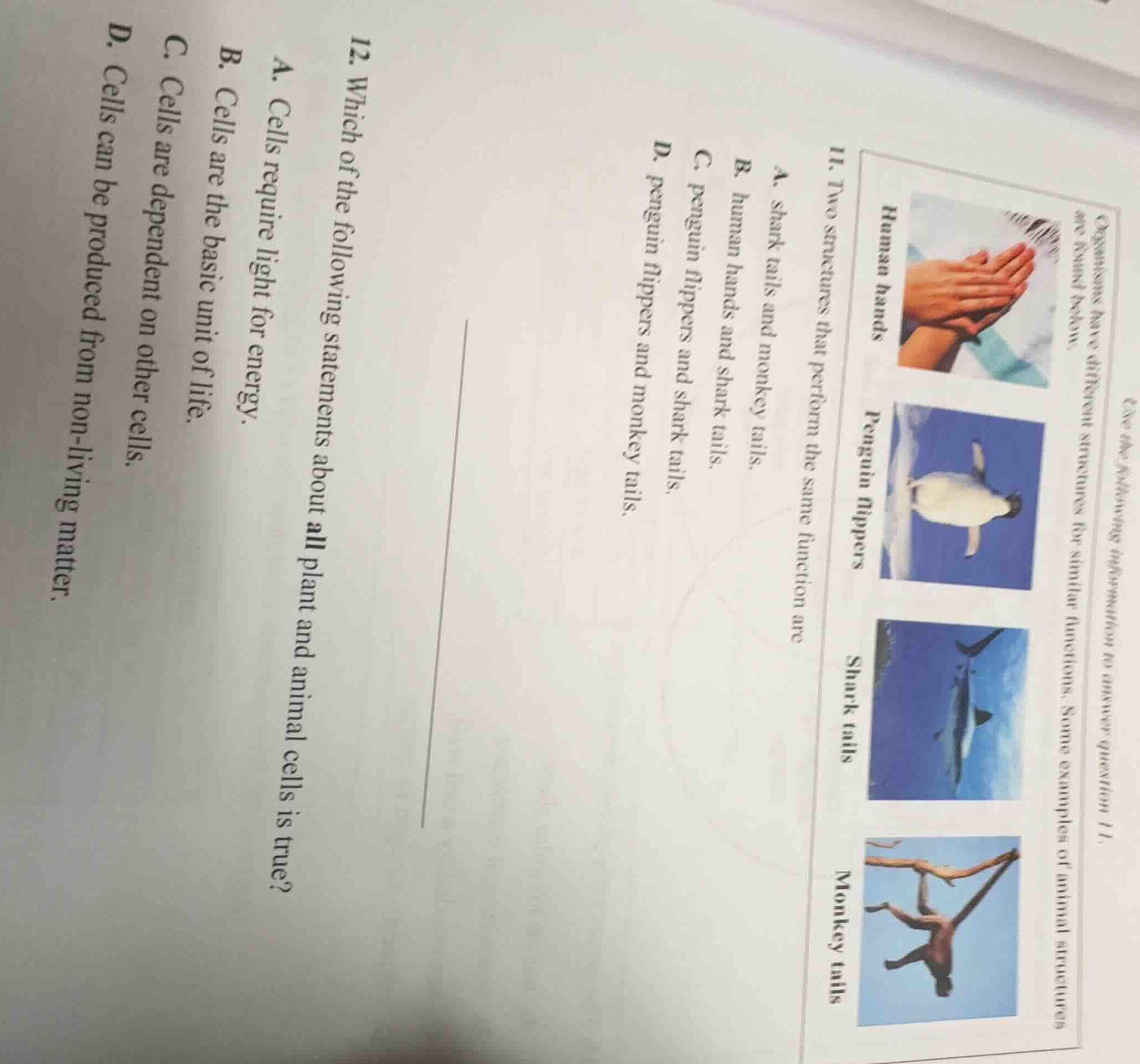 use the following information to answer question 11. organisms have dif…
