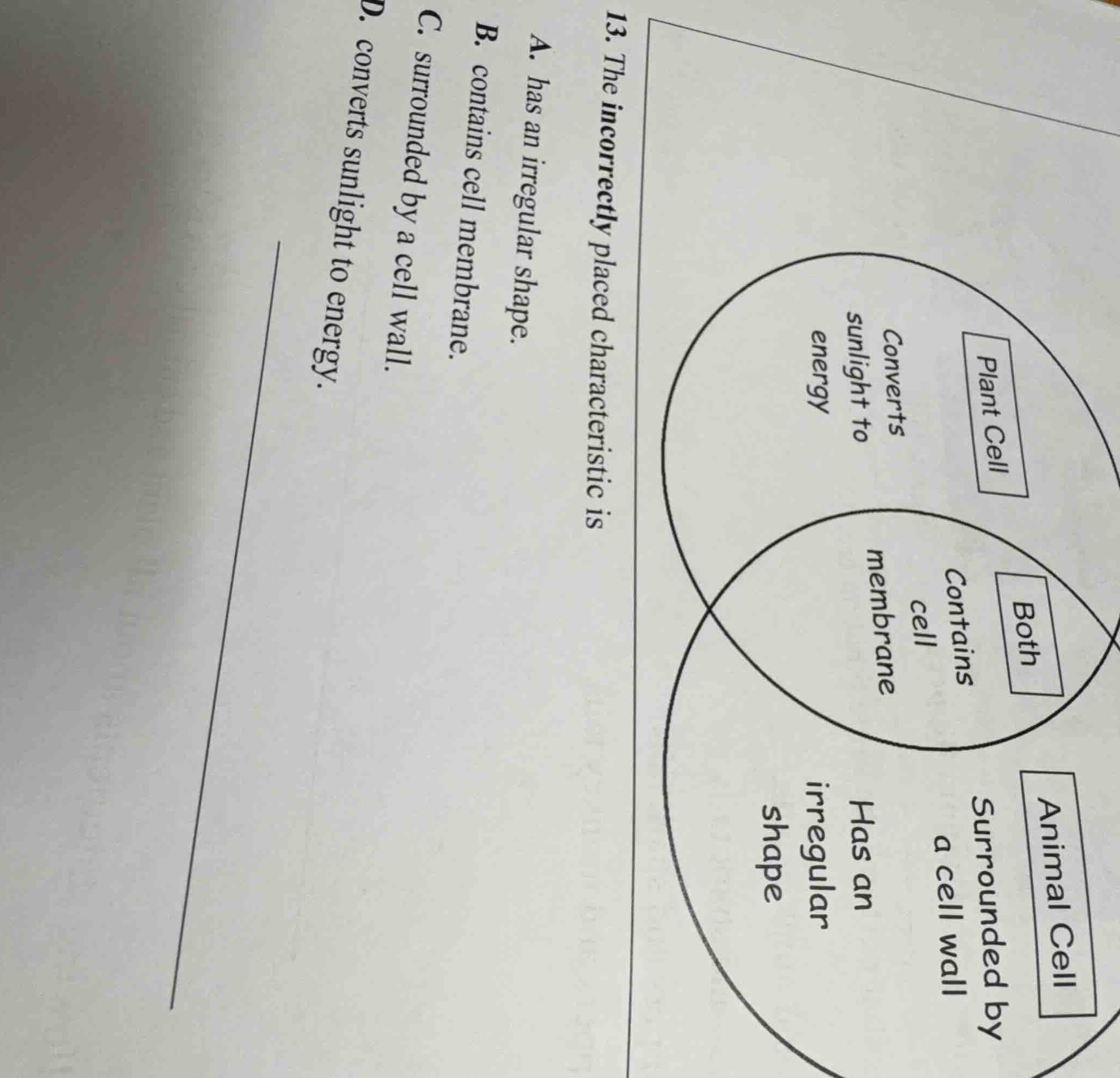 13. the incorrectly placed characteristic is a. has an irregular shape.…