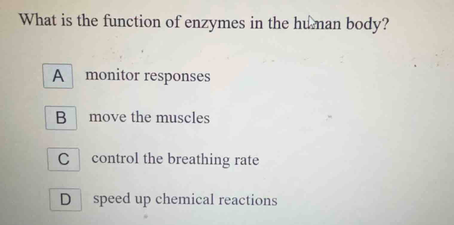 what is the function of enzymes in the human body? a monitor responses …