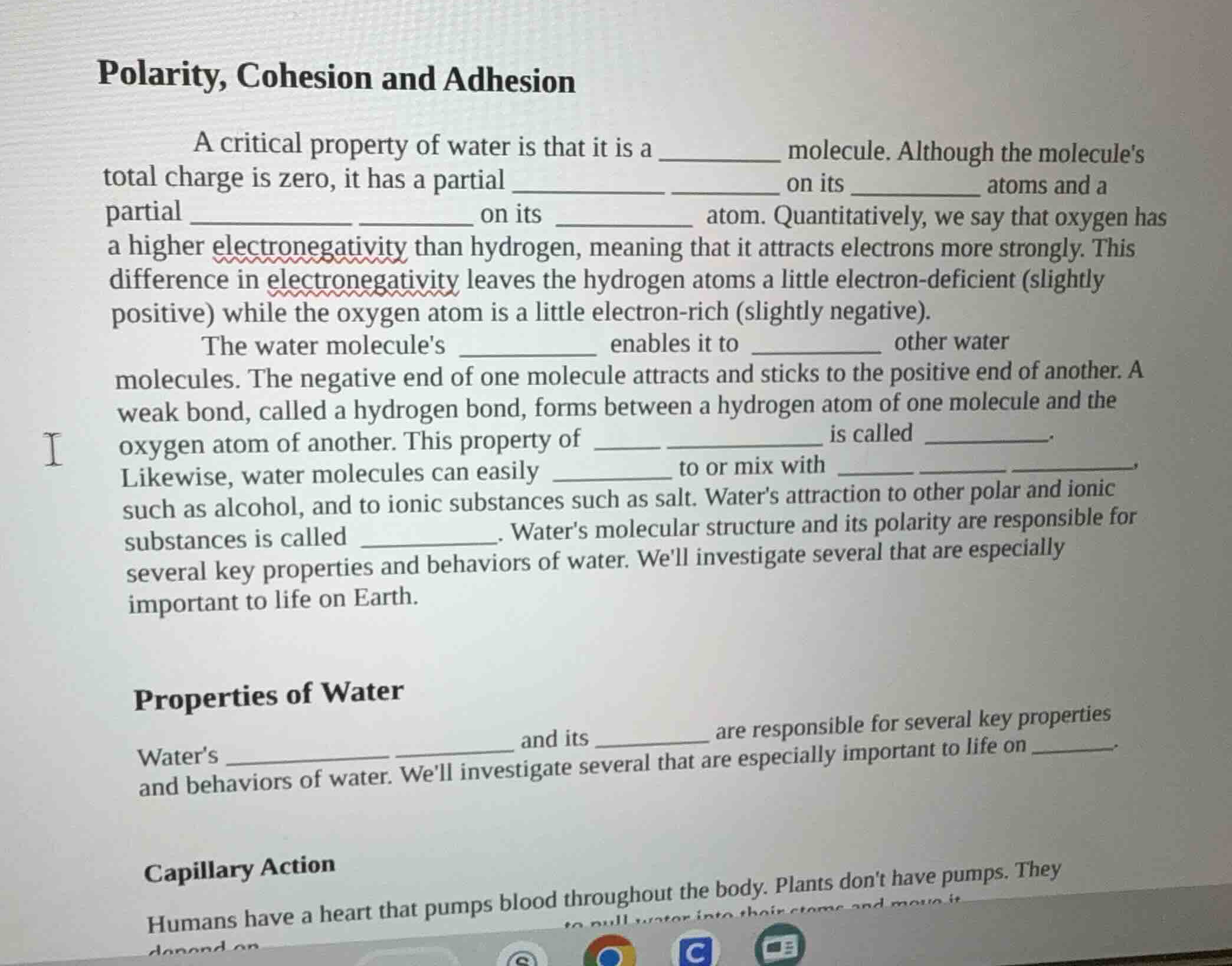 polarity, cohesion and adhesion a critical property of water is that it…