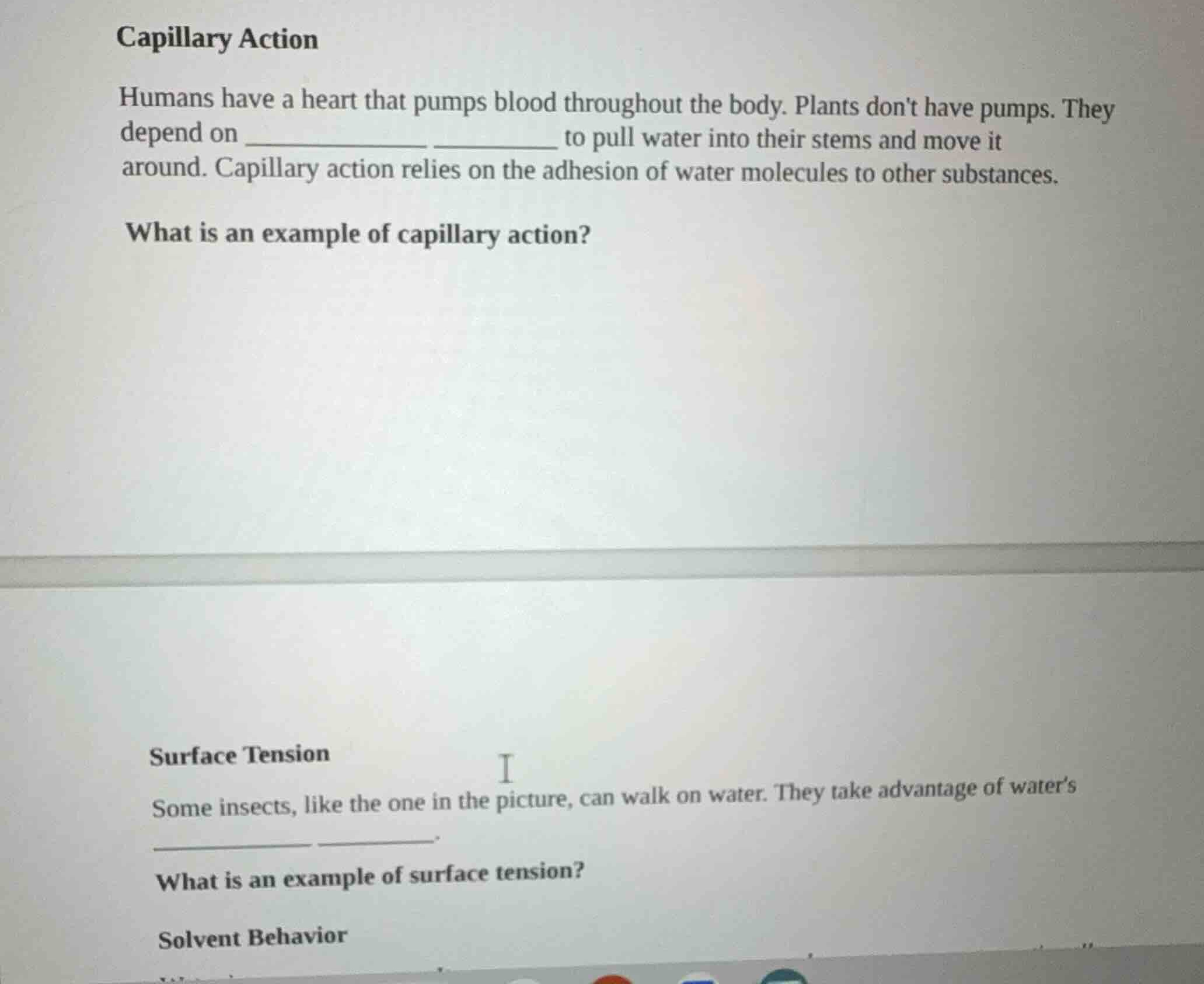 capillary action humans have a heart that pumps blood throughout the bo…