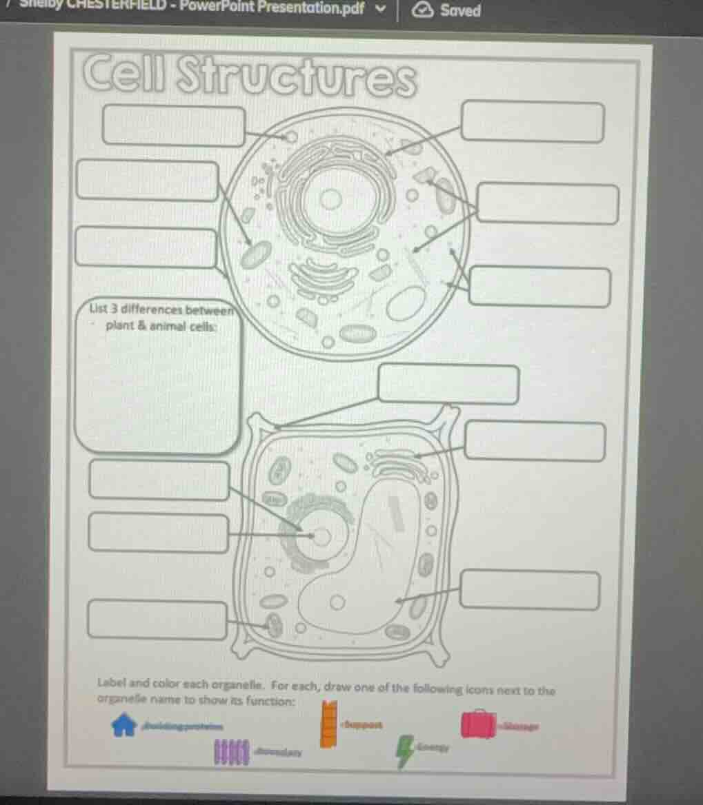 cell structures list 3 differences between plant & animal cells: label …