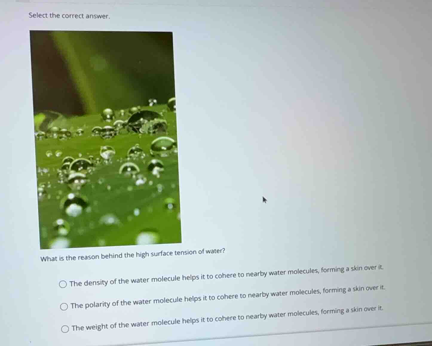 select the correct answer. what is the reason behind the high surface t…