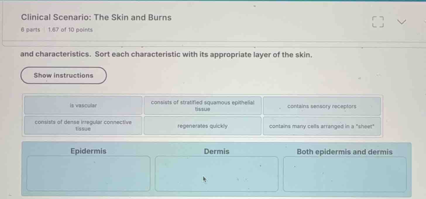 clinical scenario: the skin and burns and characteristics. sort each ch…