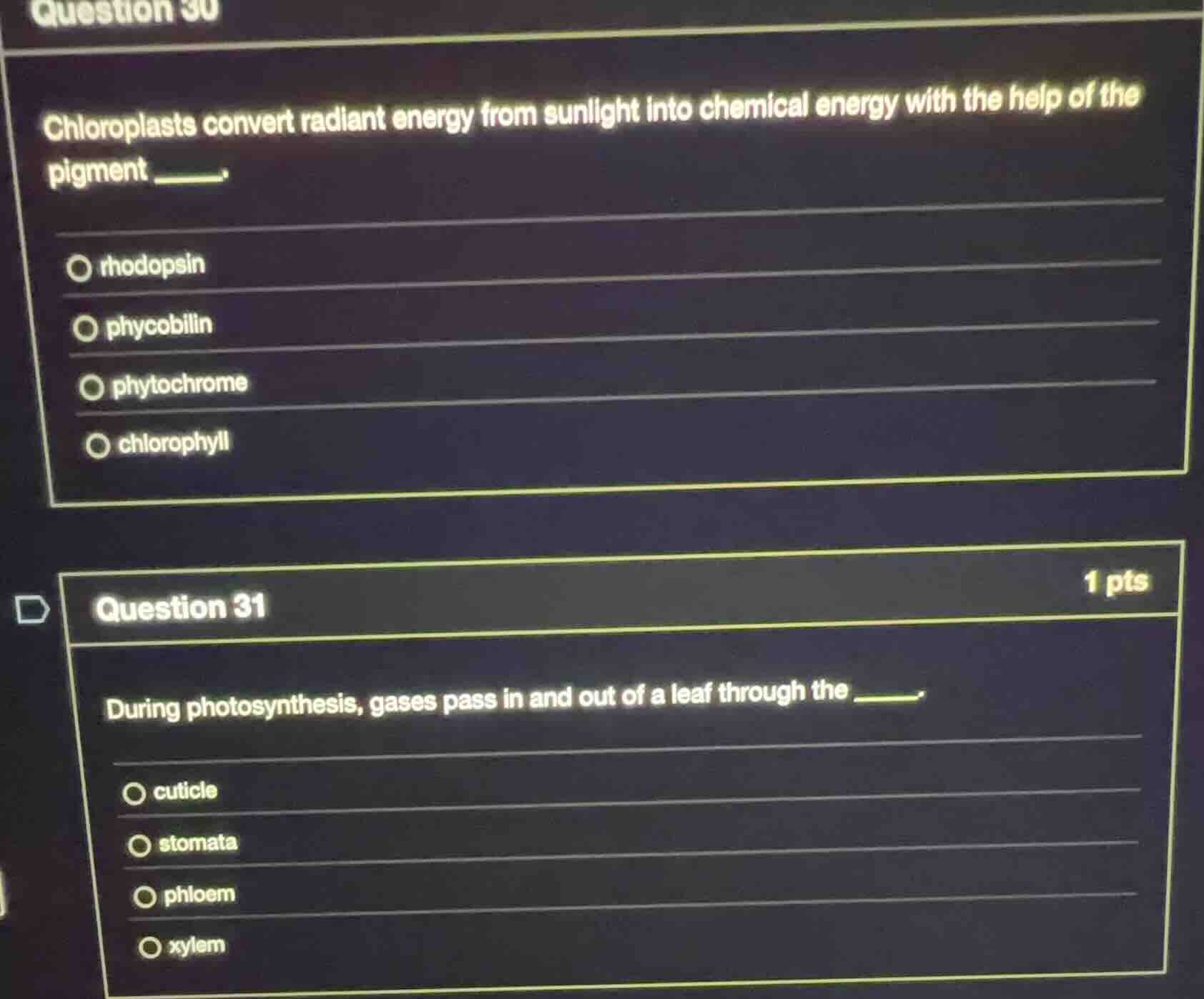 question 30 chloroplasts convert radiant energy from sunlight into chem…