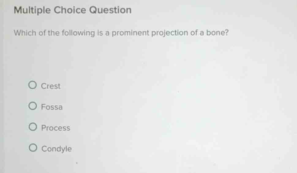 multiple choice question which of the following is a prominent projecti…