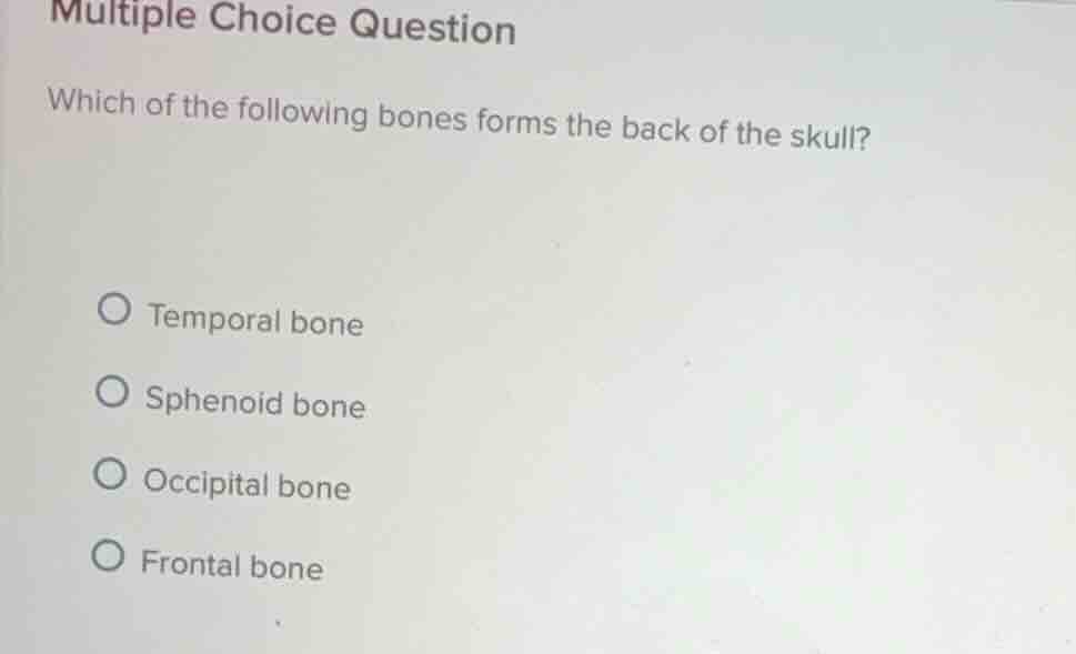 multiple choice question which of the following bones forms the back of…