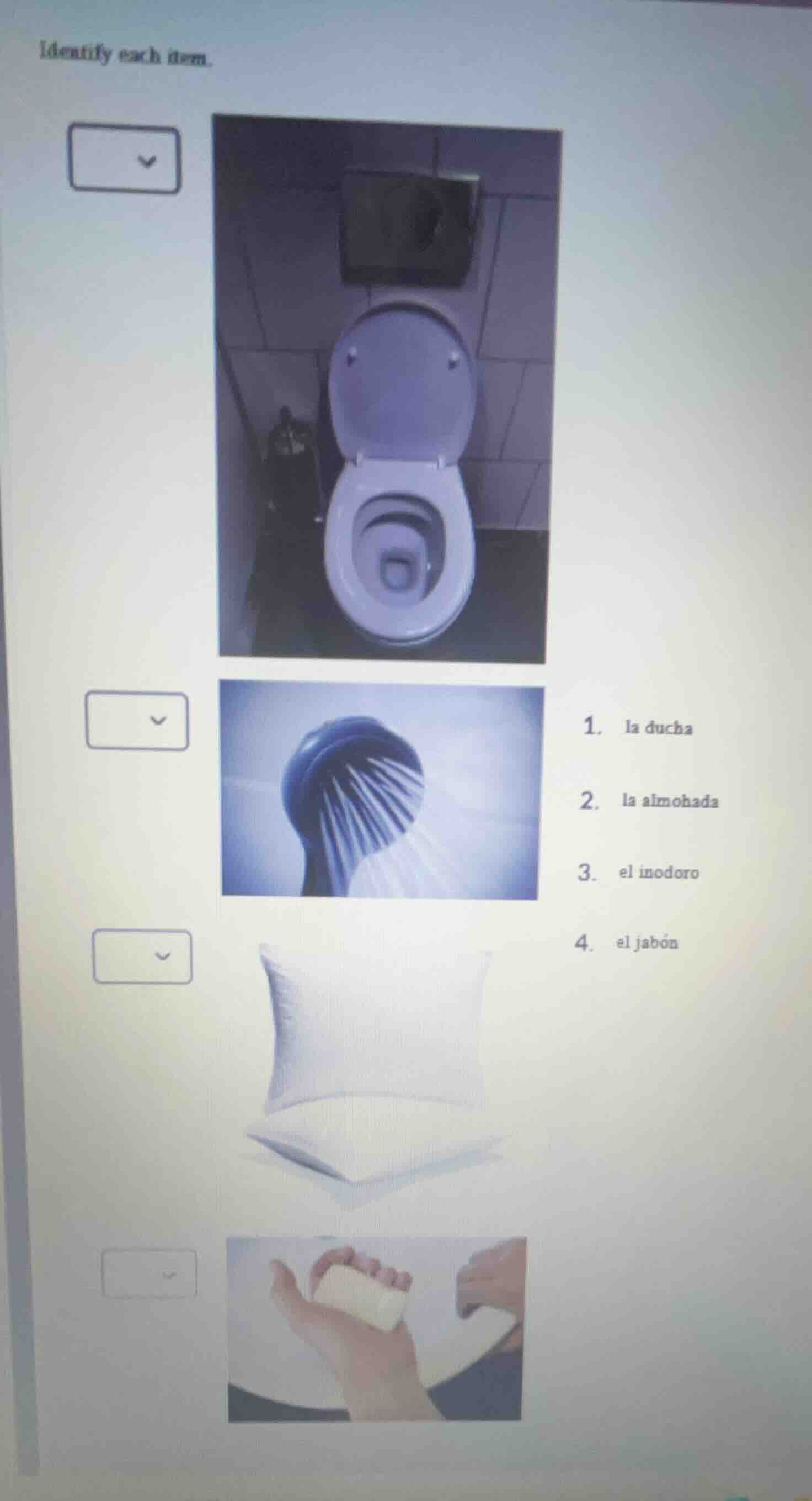 identify each item. 1. la ducha 2. la almohada 3. el inodoro 4. el jabón