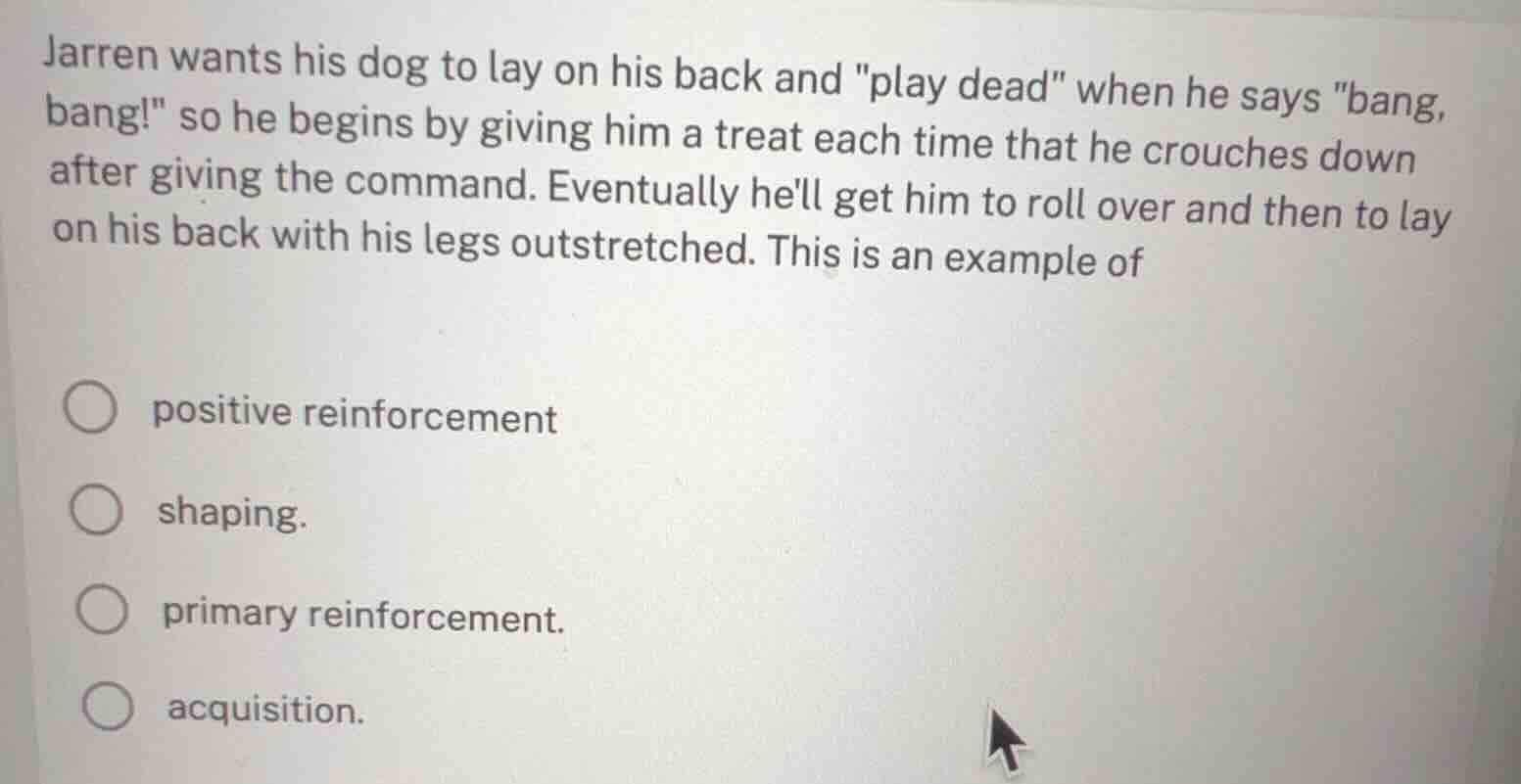 jarren wants his dog to lay on his back and \play dead\ when he says \b…