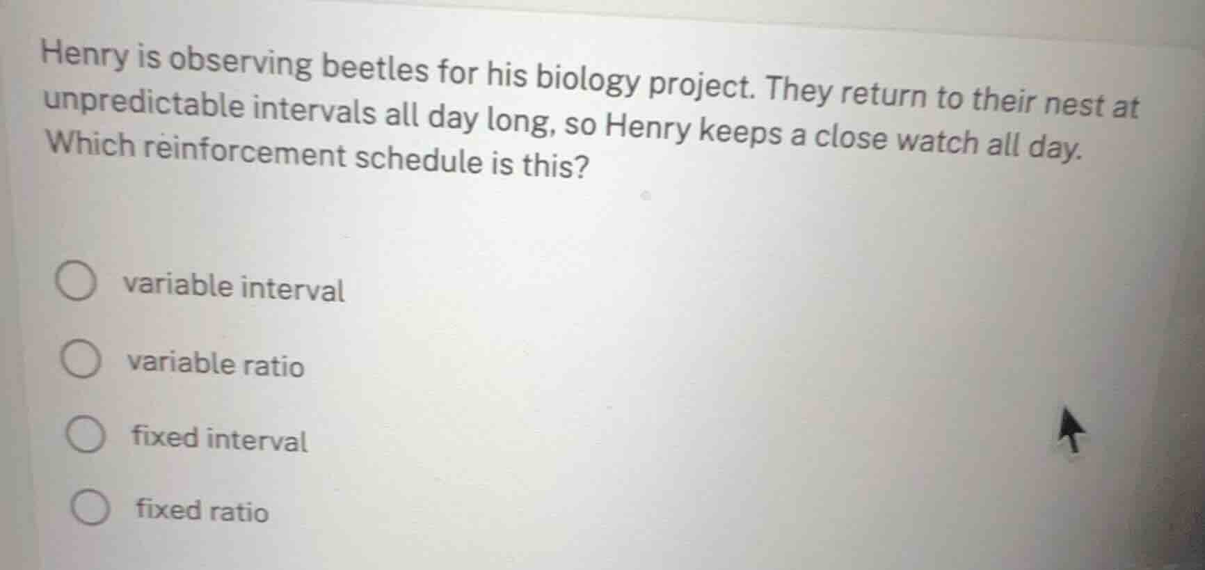 henry is observing beetles for his biology project. they return to thei…