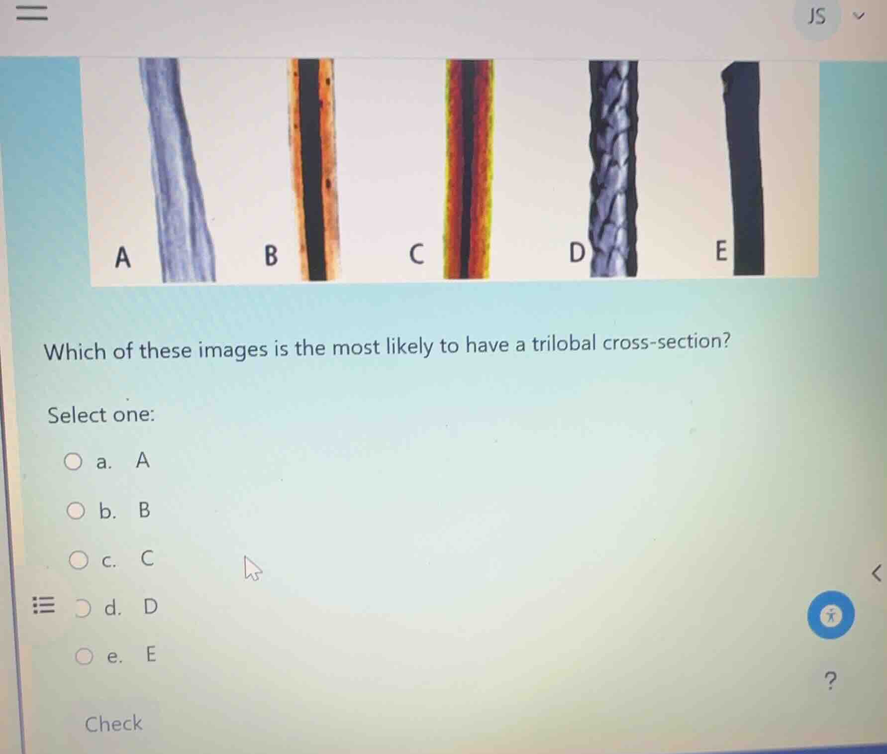 which of these images is the most likely to have a trilobal cross-secti…