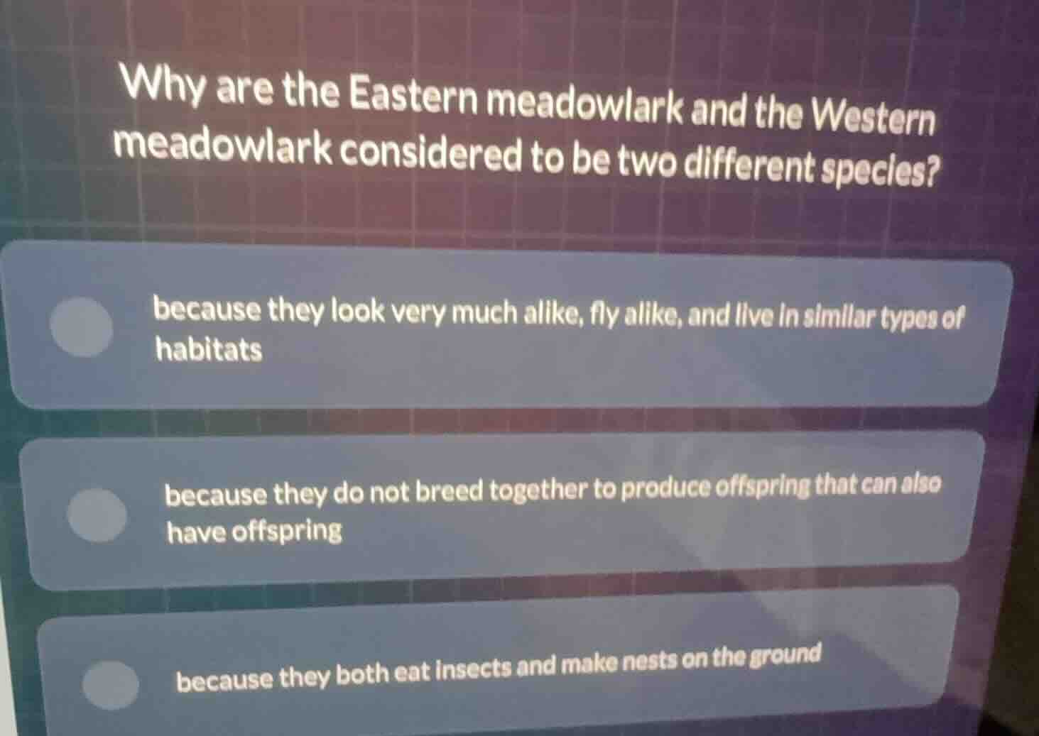 why are the eastern meadowlark and the western meadowlark considered to…