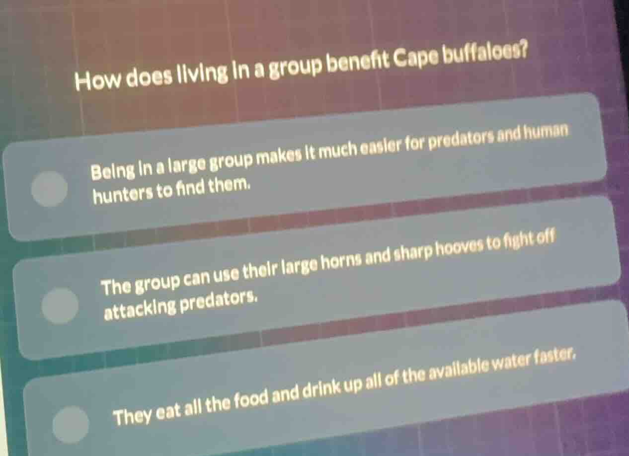 how does living in a group benefit cape buffaloes? being in a large gro…