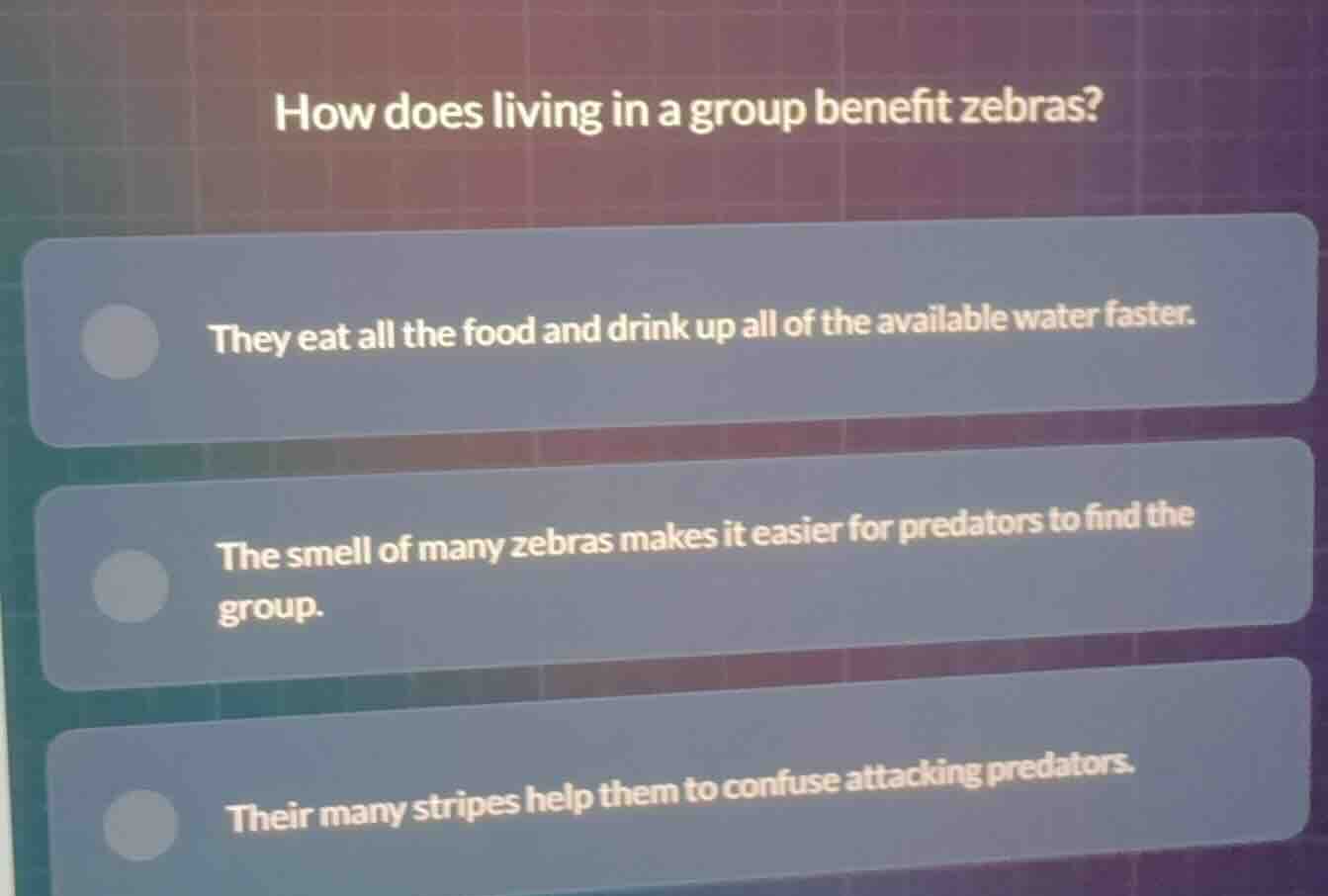 how does living in a group benefit zebras? they eat all the food and dr…