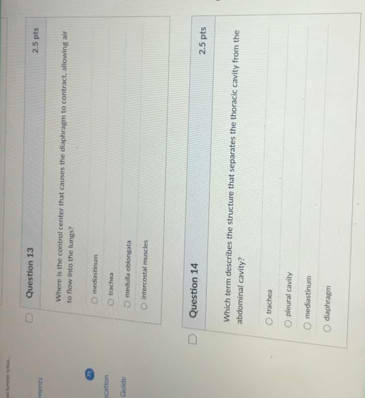question 13 2.5 pts where is the control center that causes the diaphra…