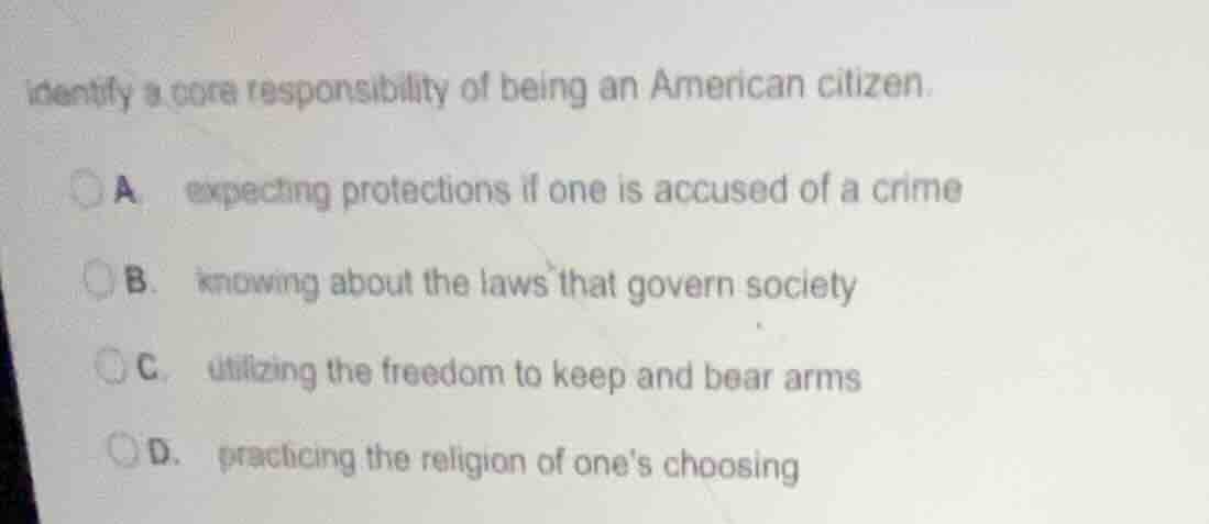 identify a core responsibility of being an american citizen. a. expecti…
