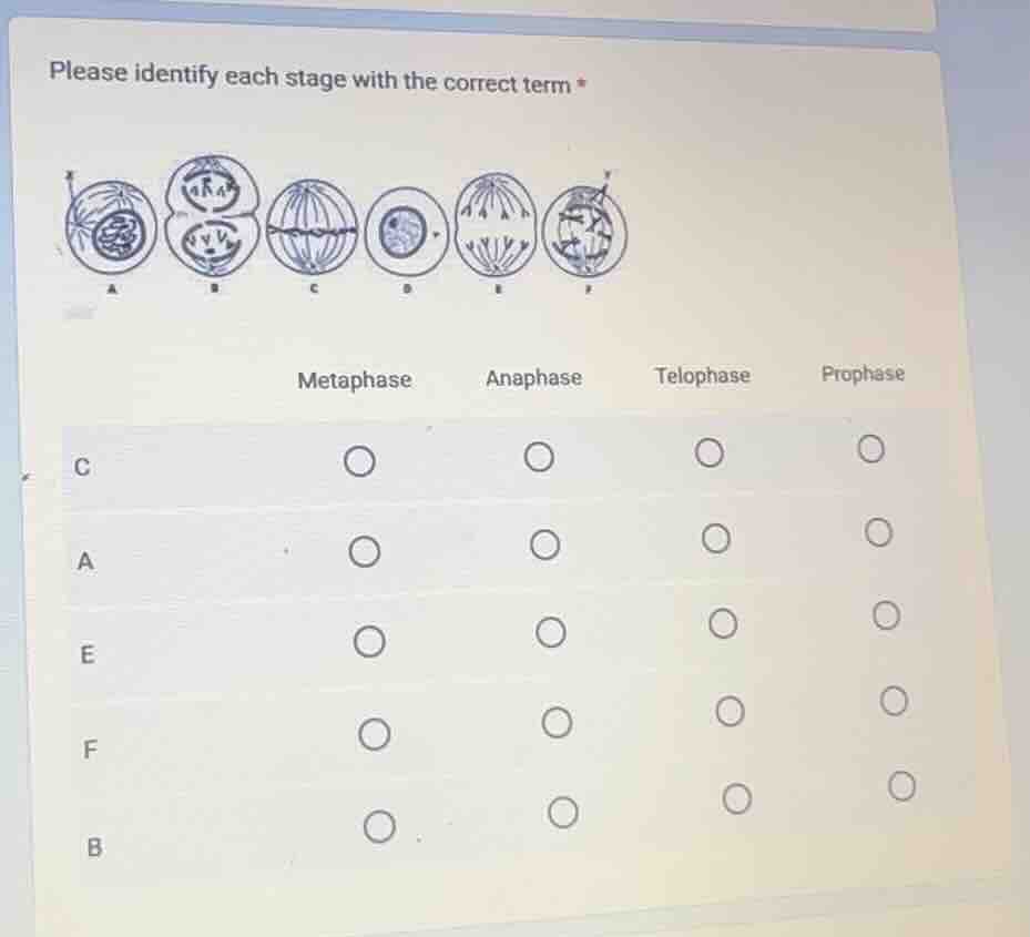 please identify each stage with the correct term * metaphase anaphase t…