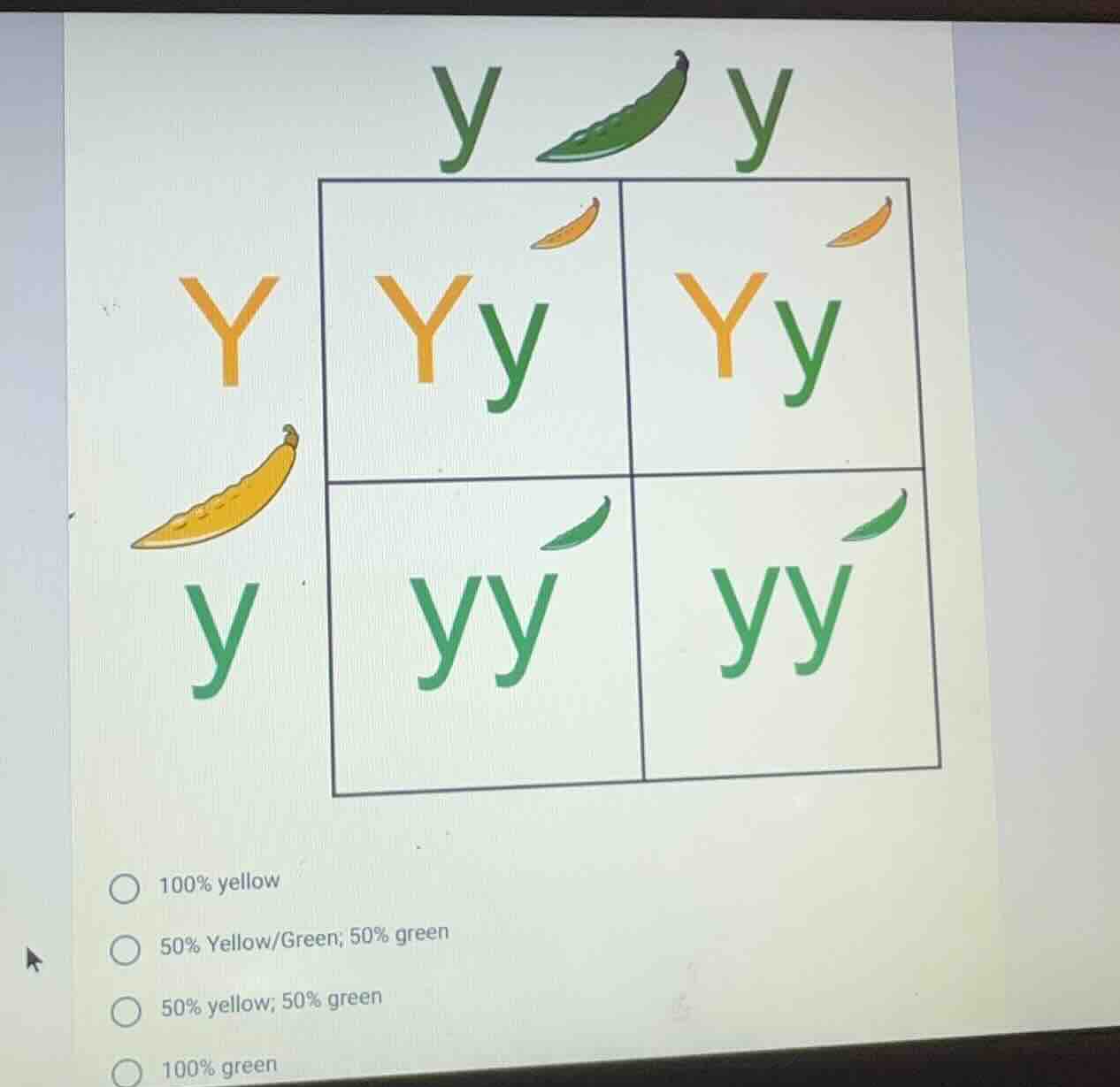 100% yellow 50% yellow/green; 50% green 50% yellow; 50% green 100% green