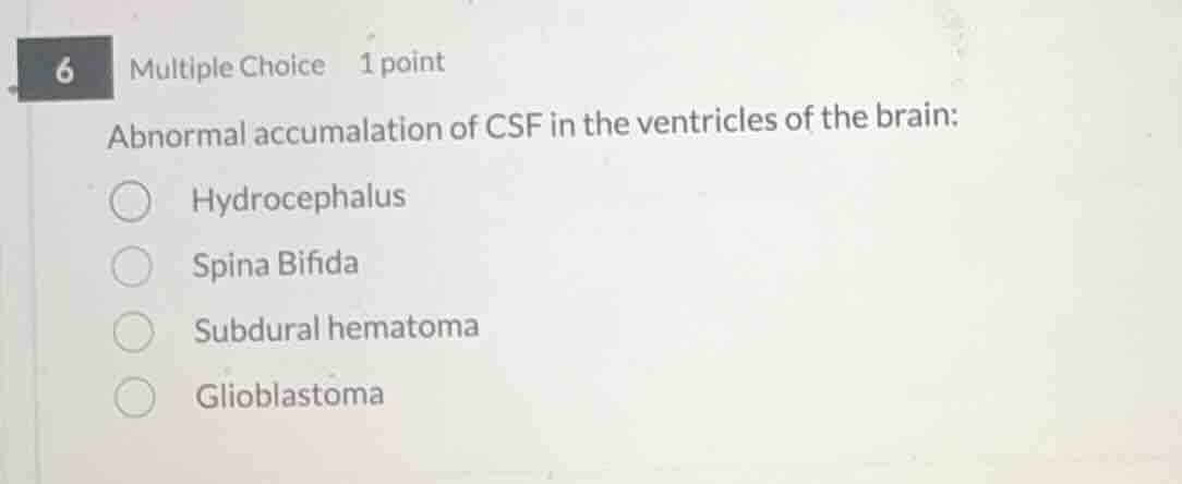 abnormal accumalation of csf in the ventricles of the brain: hydrocepha…