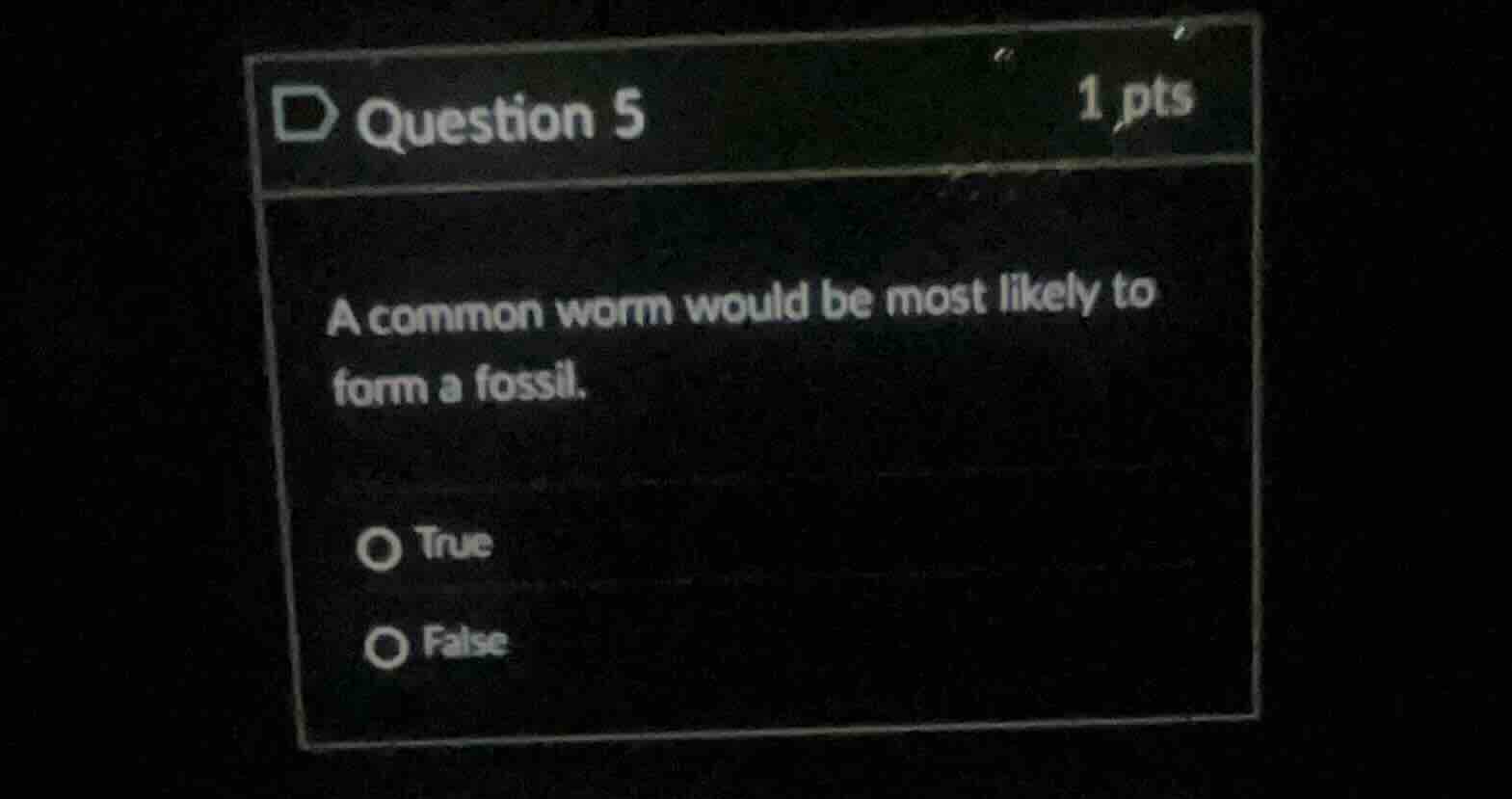 question 5 1 pts a common worm would be most likely to form a fossil. t…