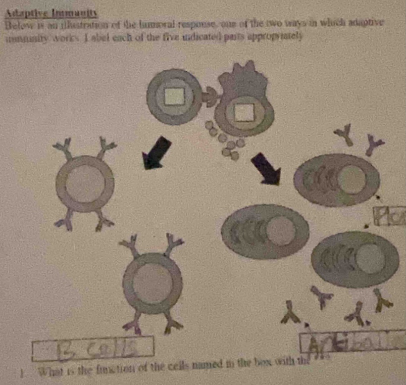 Question was provided via image upload.