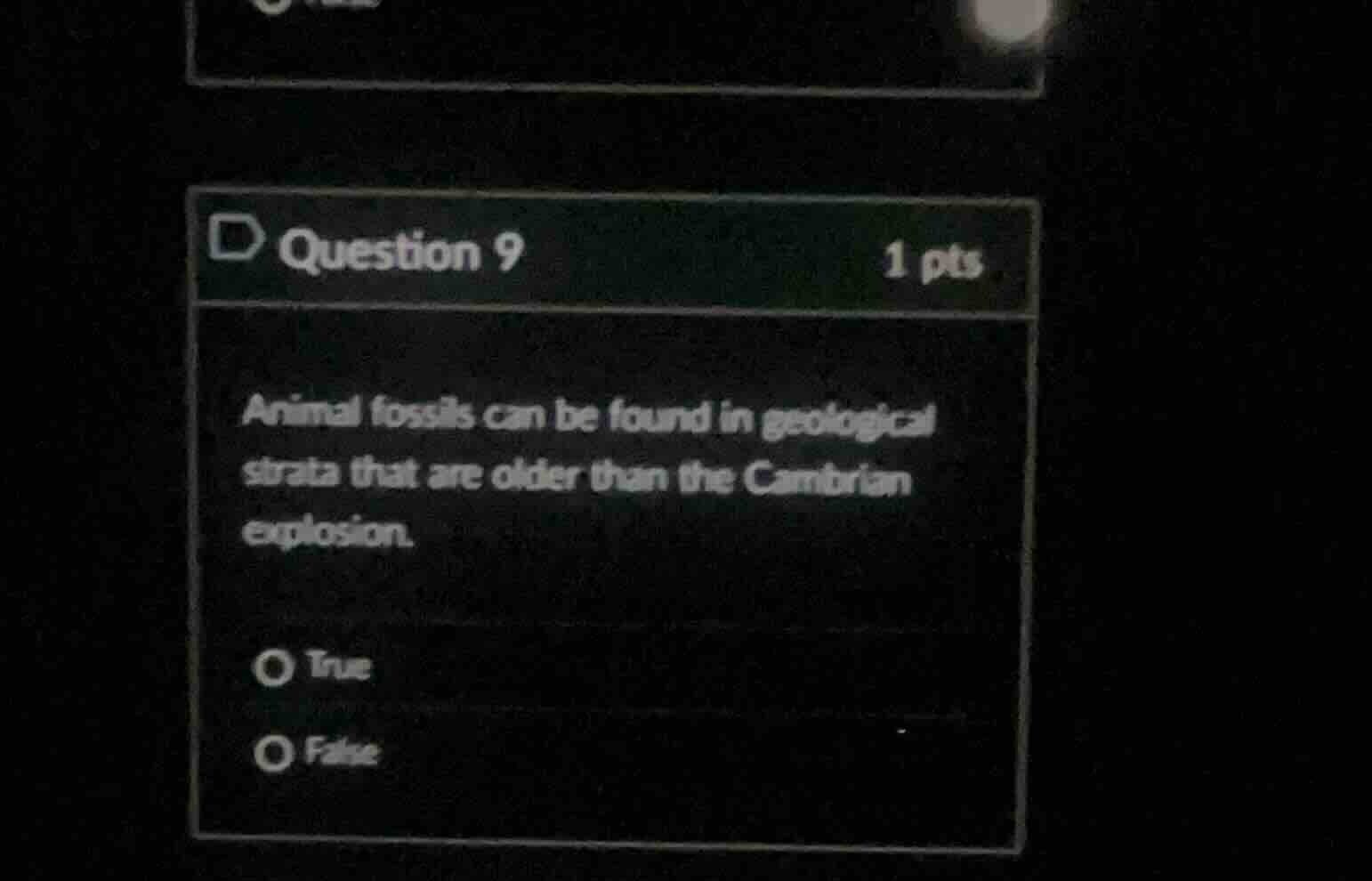 question 9 1 pts animal fossils can be found in geological strata that …
