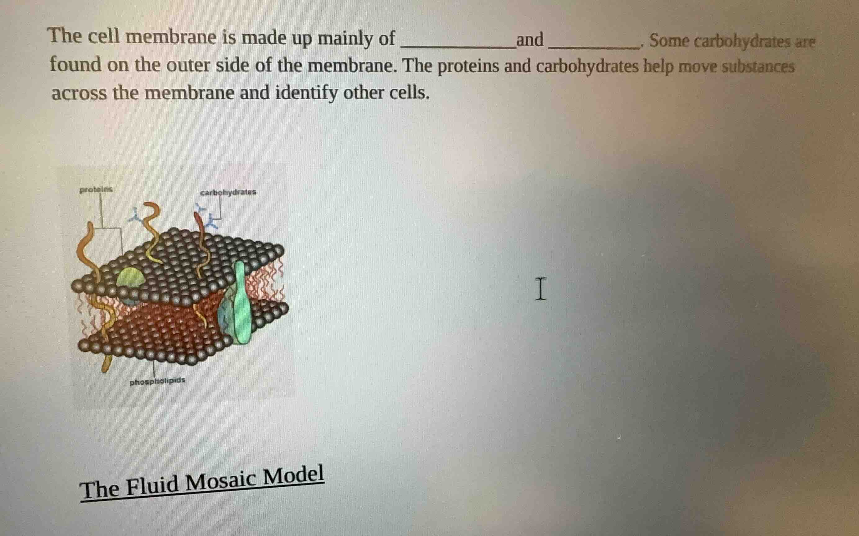 the cell membrane is made up mainly of _________ and _________. some ca…