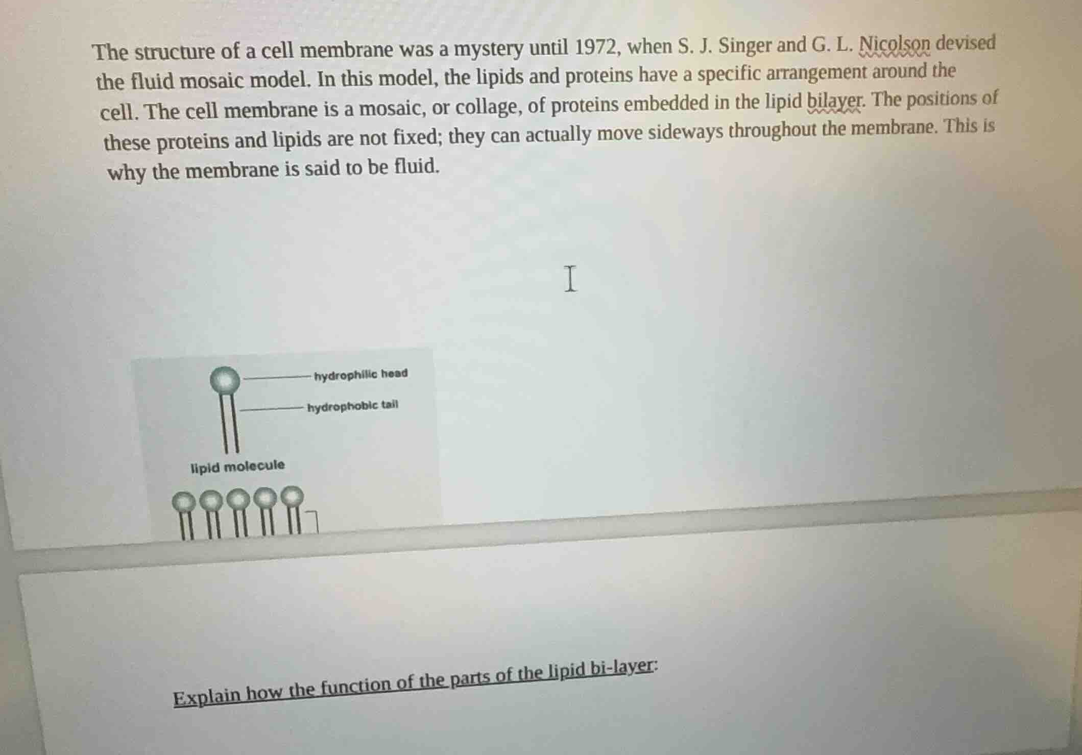 the structure of a cell membrane was a mystery until 1972, when s. j. s…