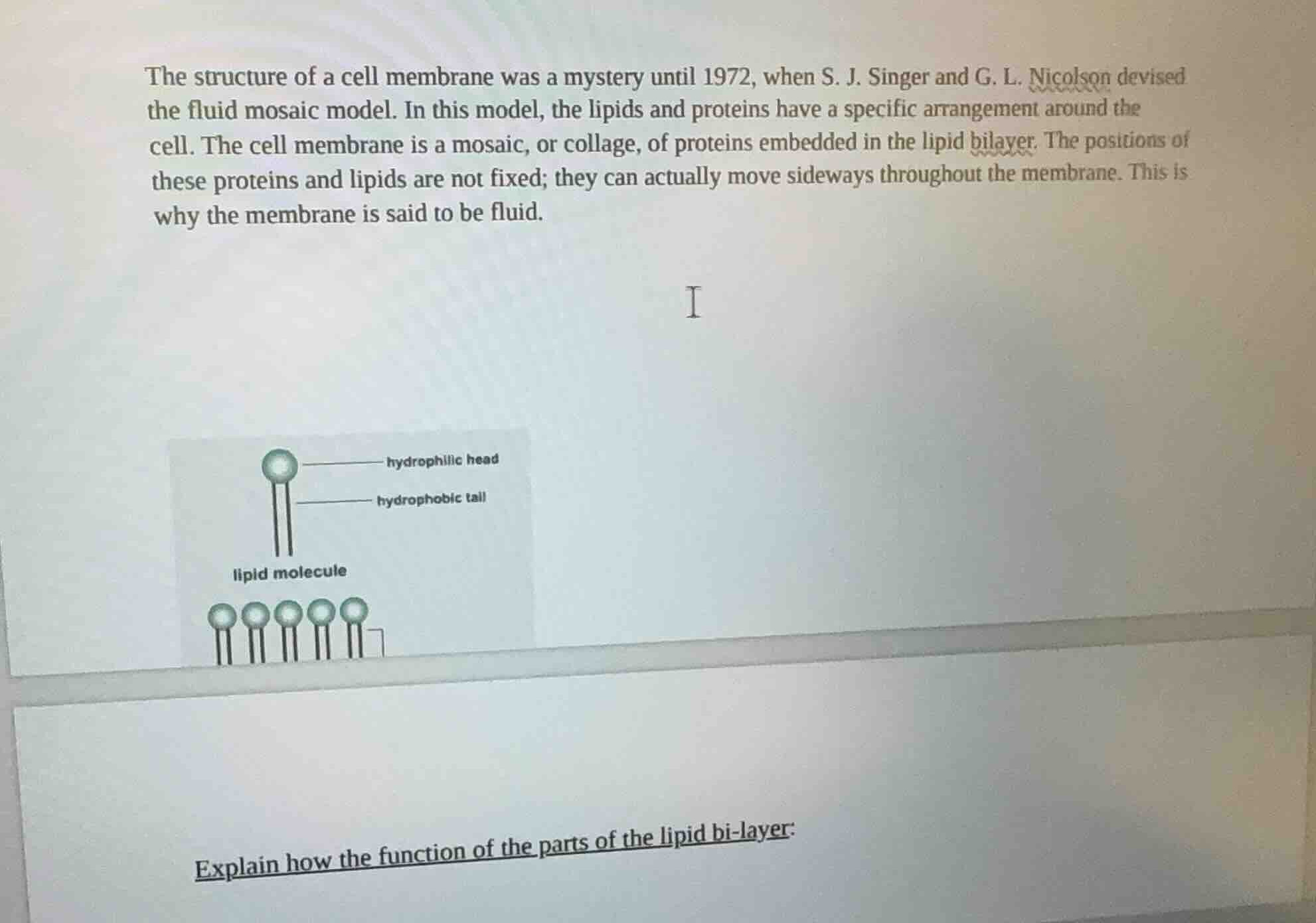 the structure of a cell membrane was a mystery until 1972, when s. j. s…