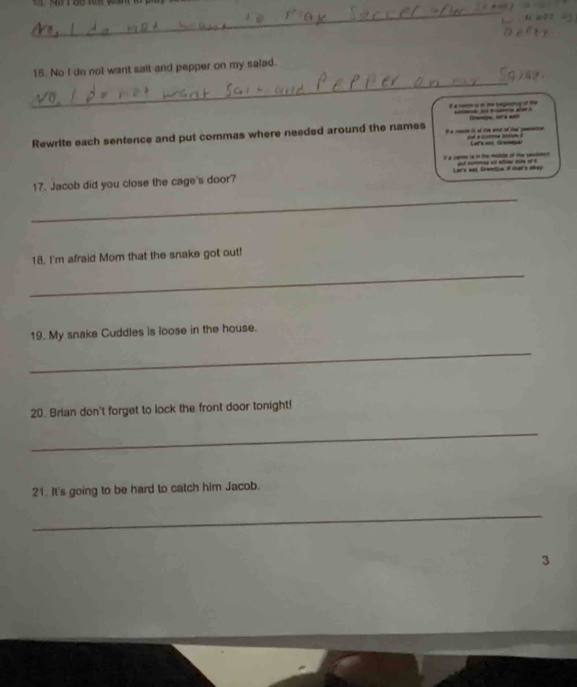 rewrite each sentence and put commas where needed around the names 17. …