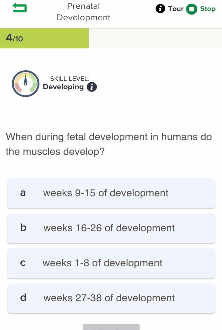 when during fetal development in humans do the muscles develop? a weeks…
