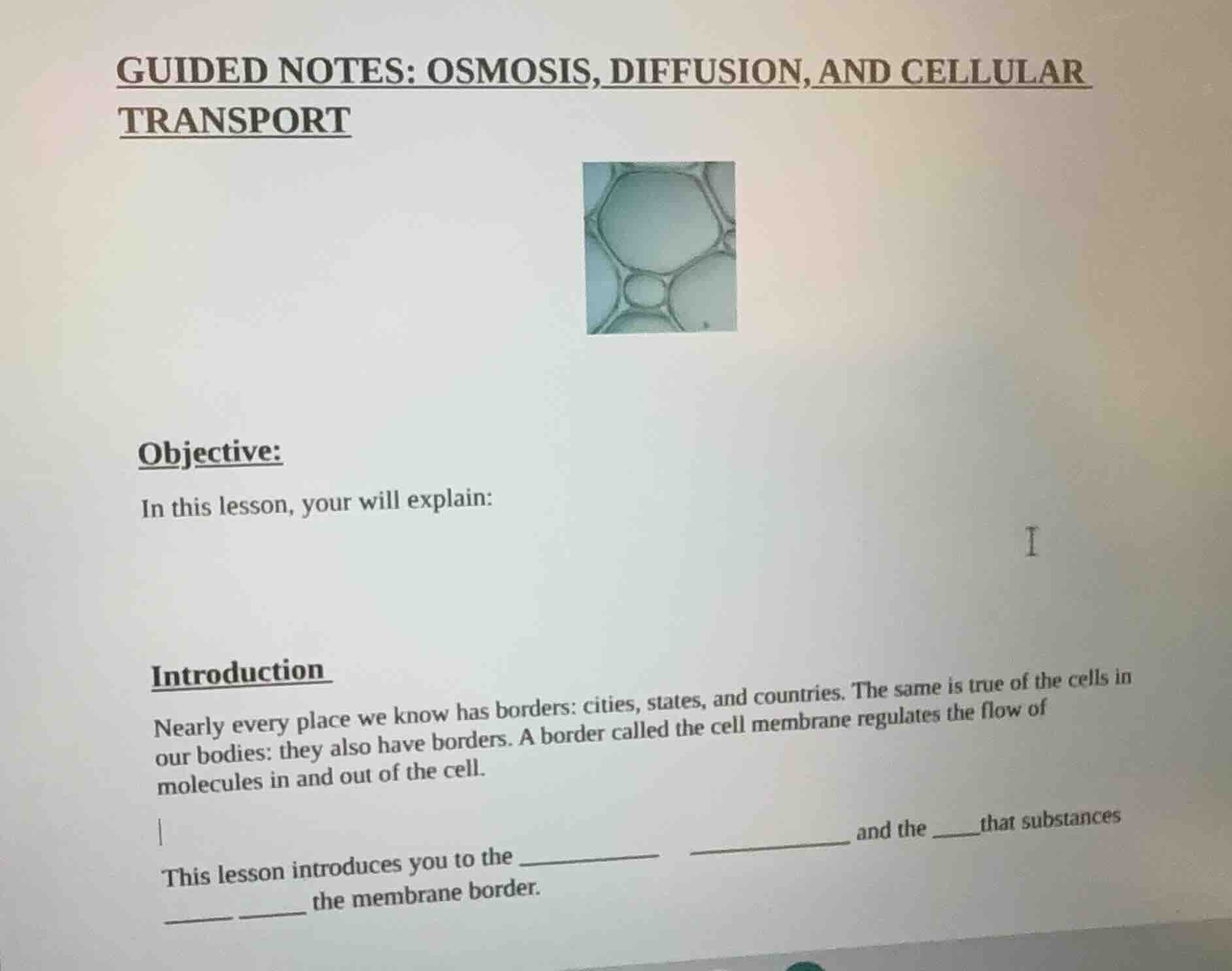 guided notes: osmosis, diffusion, and cellular transport objective: in …