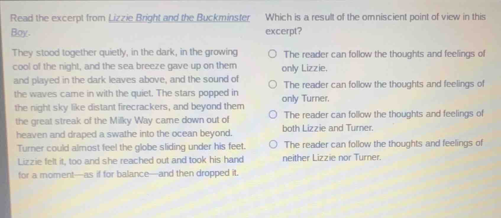 read the excerpt from lizzie bright and the buckminster boy. they stood…