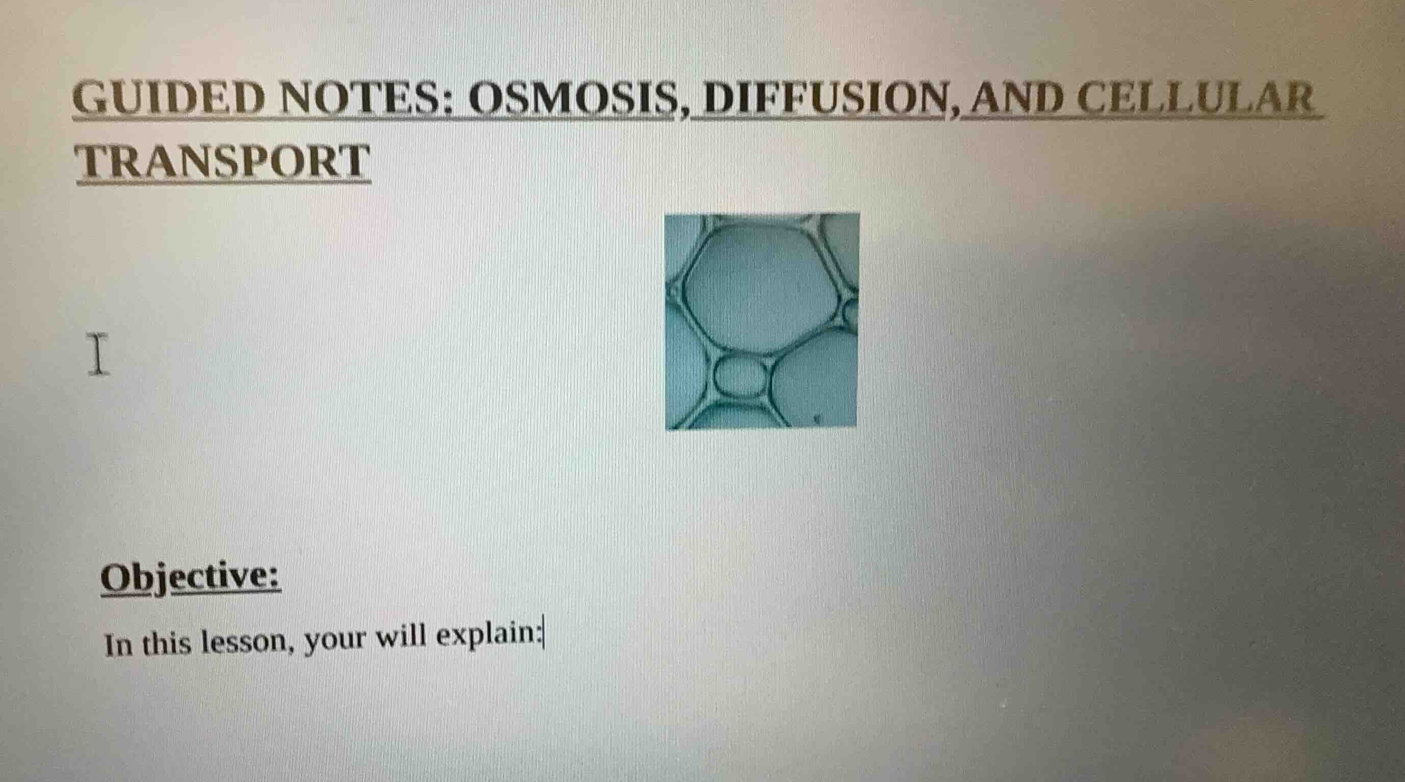 guided notes: osmosis, diffusion, and cellular transport i objective: i…