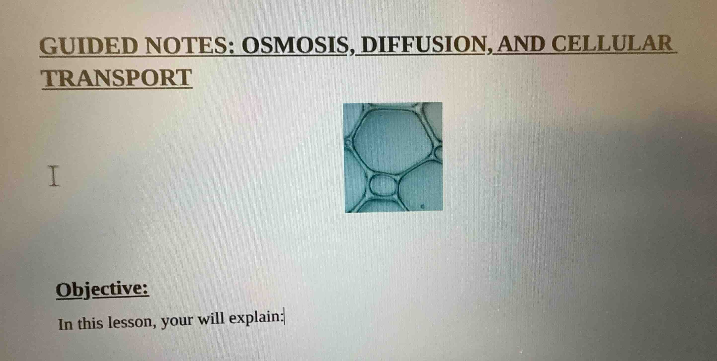 guided notes: osmosis, diffusion, and cellular transport i objective: i…