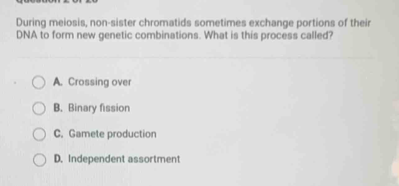 during meiosis, non-sister chromatids sometimes exchange portions of th…