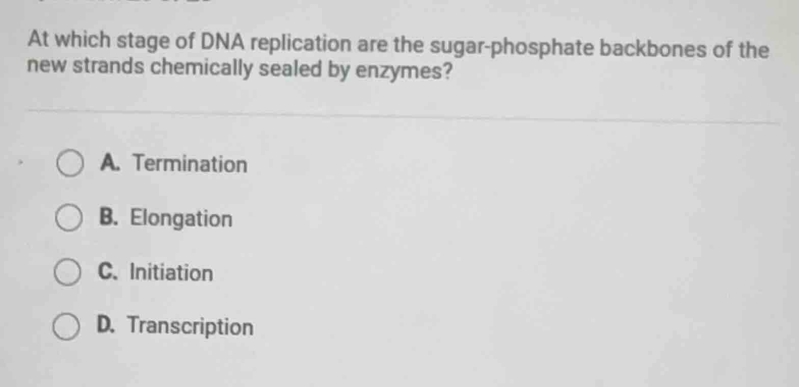 at which stage of dna replication are the sugar-phosphate backbones of …
