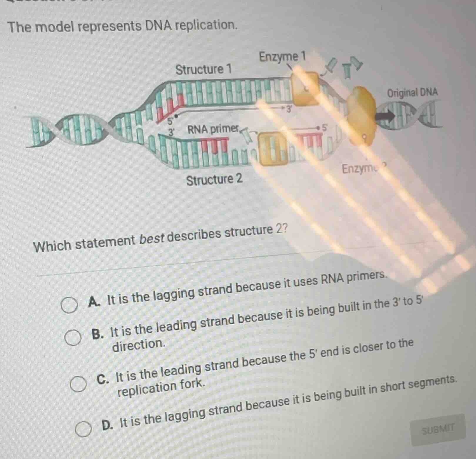 the model represents dna replication. which statement best describes st…