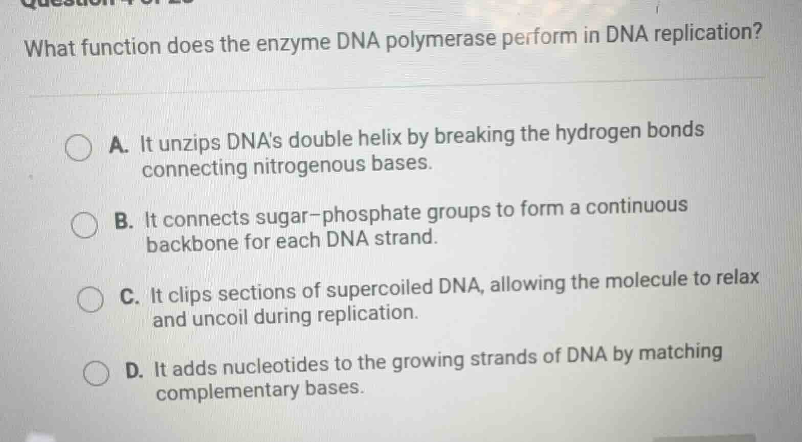 what function does the enzyme dna polymerase perform in dna replication…