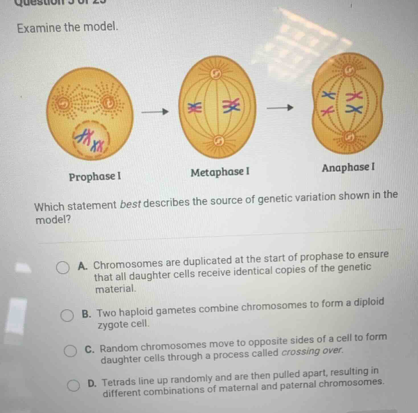 examine the model. which statement best describes the source of genetic…