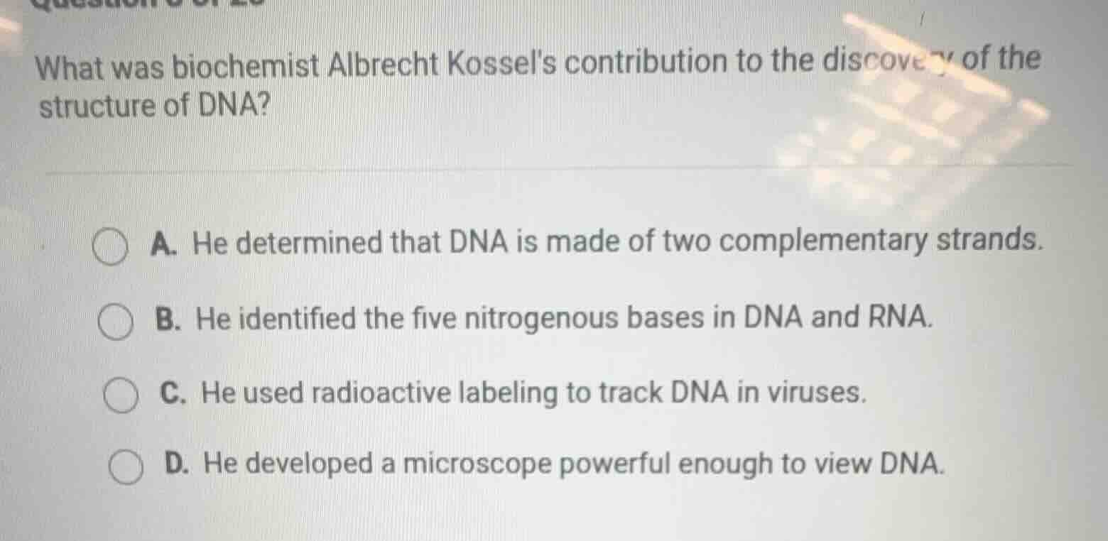 what was biochemist albrecht kossels contribution to the discovery of t…