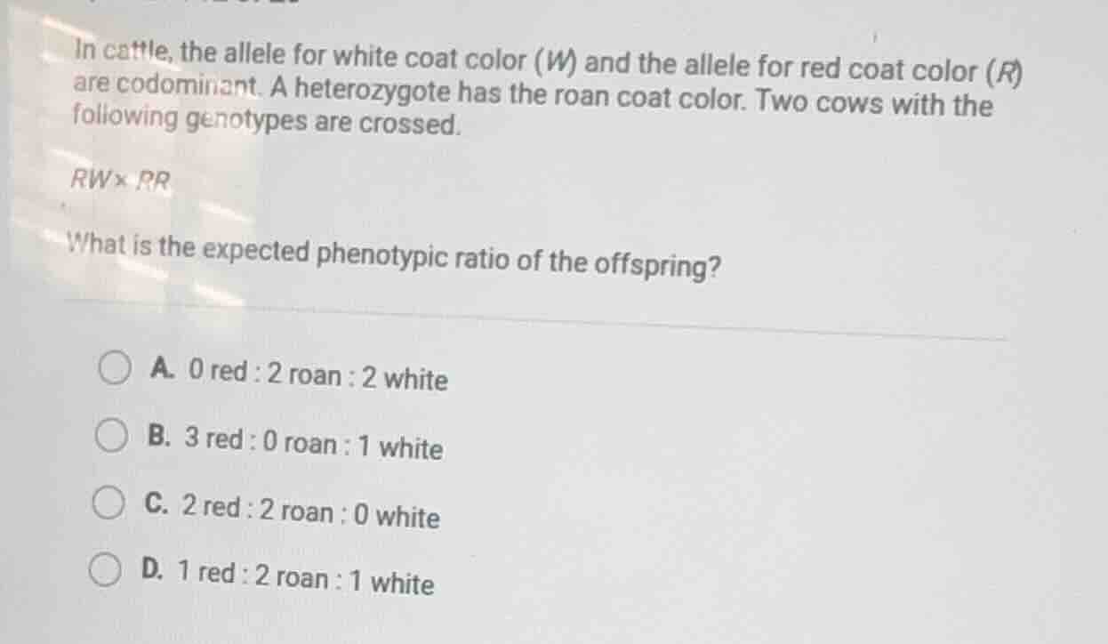 in cattle, the allele for white coat color (w) and the allele for red c…