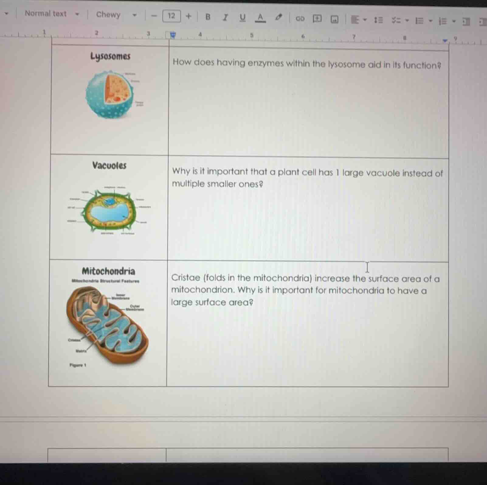 lysosomes how does having enzymes within the lysosome aid in its functi…